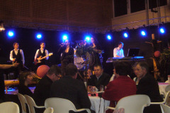17545_2014_Kirchhamer_Ball_08