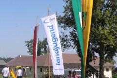 11800_2011_Pfluegen14