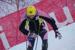 15024_2013_wm_schladming_4