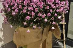 1ac00e04-4588-4c53-8132-0feeef6efe3a