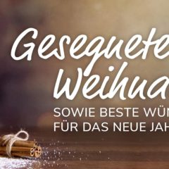 Frohe Weihnachten und ein gutes neues Jahr!